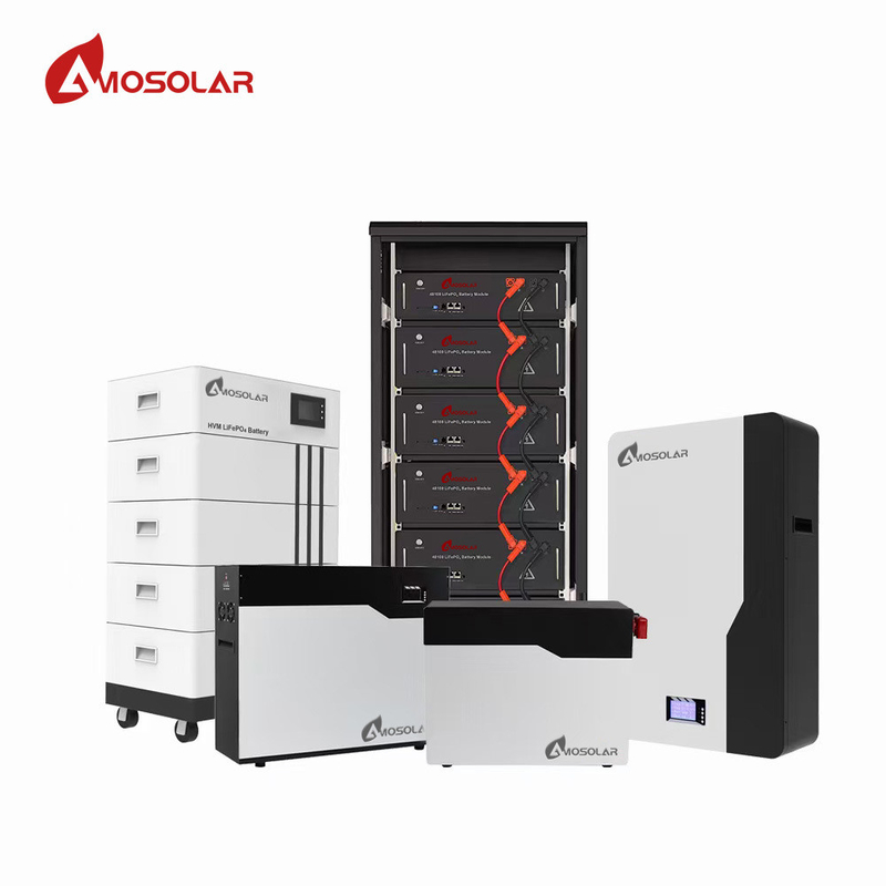 48v 51.2v 100Ah 200Ah Lithium Lifepo4 Prismatic Cells Pack Bms Screen Rack per sistemi di archiviazione