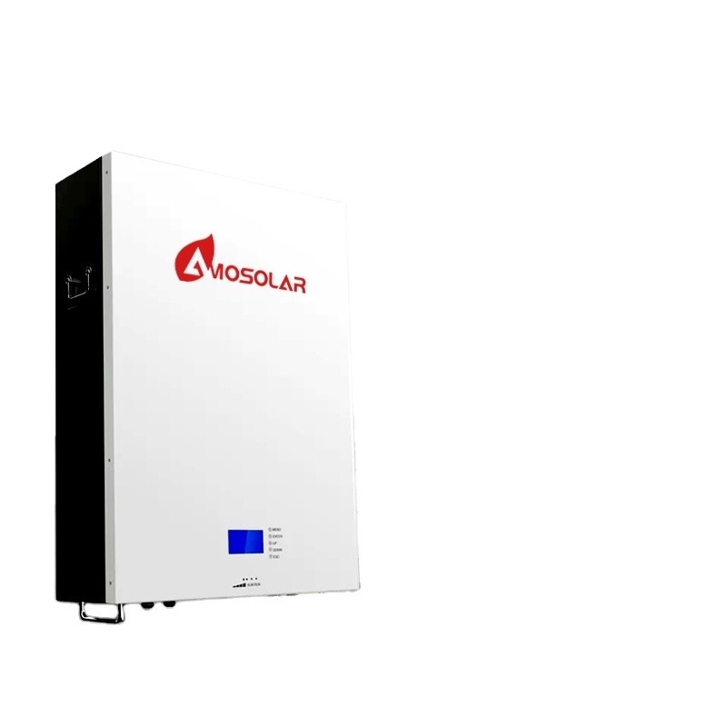 Batteria al litio da 51,2 V e 50 Ah di lunga durata per sistemi di energia solare domestici